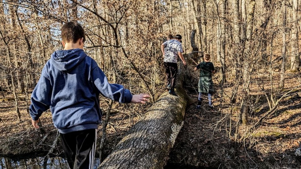 Three children balancing on a fallen tree in a forest.