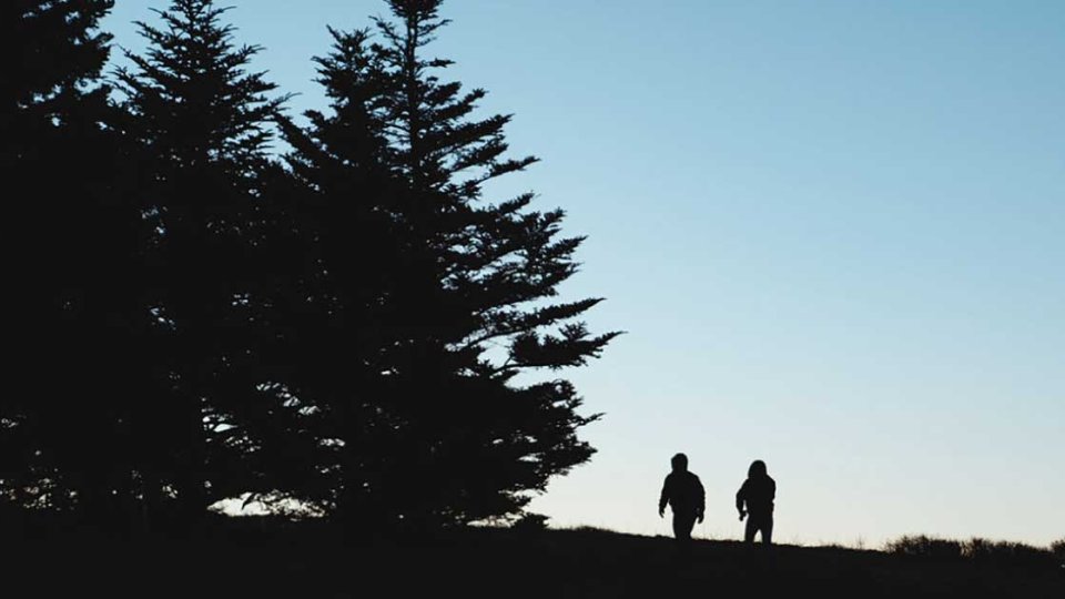 Two silhouetted figures walking near trees at dusk.