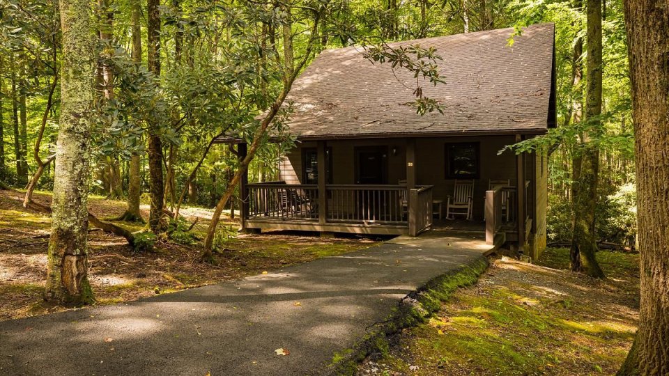 Small cabin nestled among dense green trees in a forest.