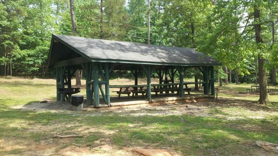 Wooden picnic shelter in a sunny forest clearing.