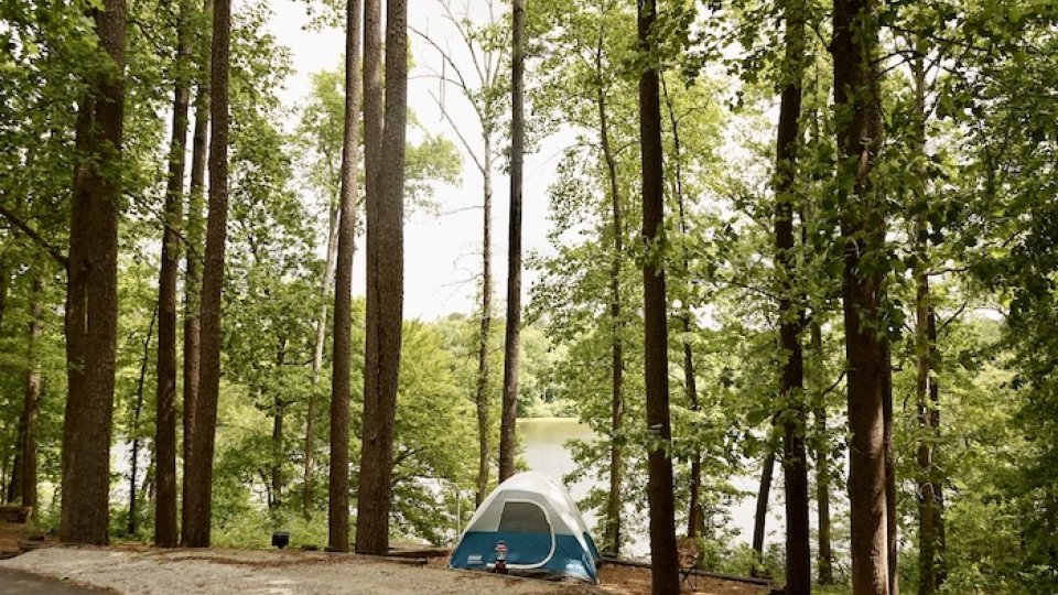 Blue tent pitched in a lush, wooded area by a lake.