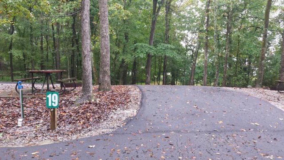 Campsite with picnic table, surrounded by tall trees.