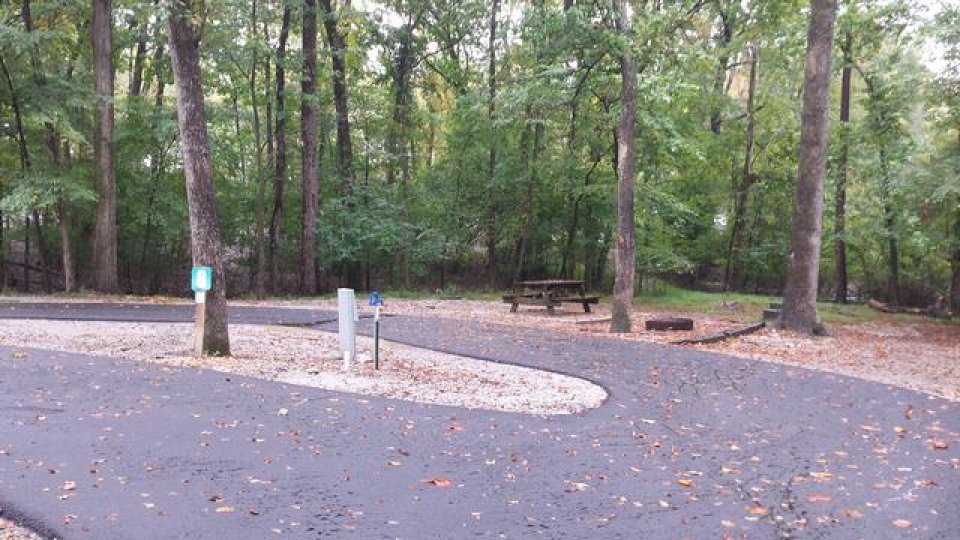 Forest campsite with paved road and picnic table.