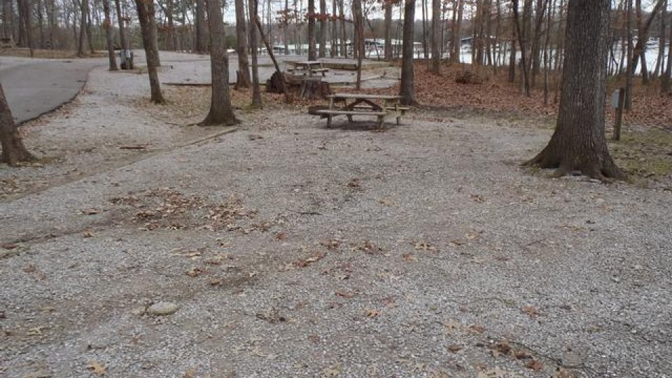 Gravel campsite with picnic table, surrounded by trees.