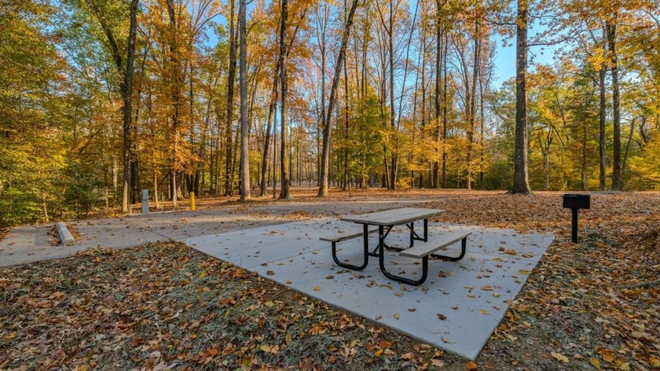 Picnic table on a concrete pad in a forest with autumn foliage.