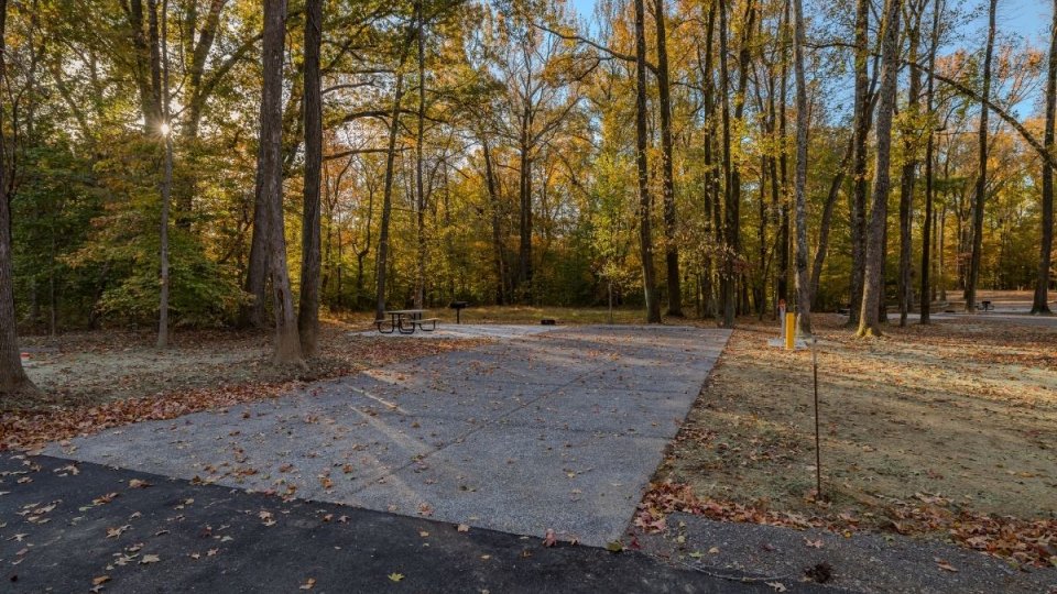 Concrete pad surrounded by autumn trees in a park setting.