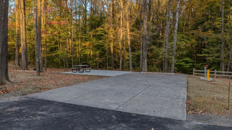Empty concrete campsite surrounded by autumn trees.
