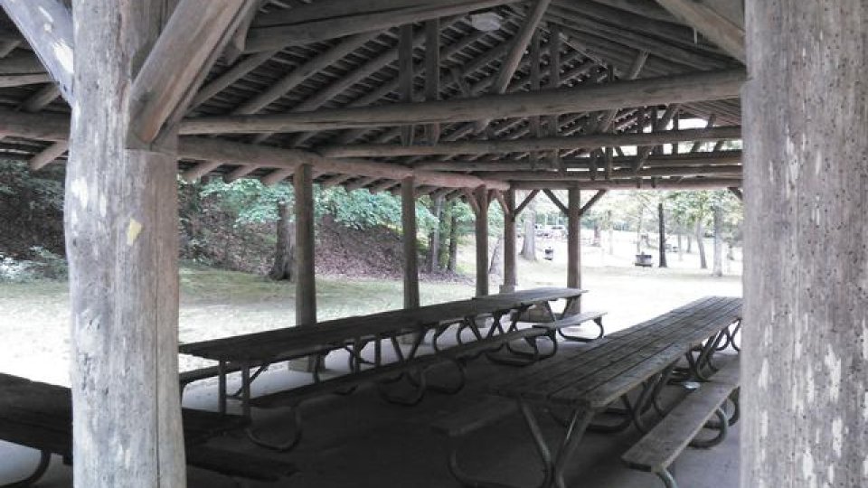 Wooden picnic shelter with multiple tables in a park setting.