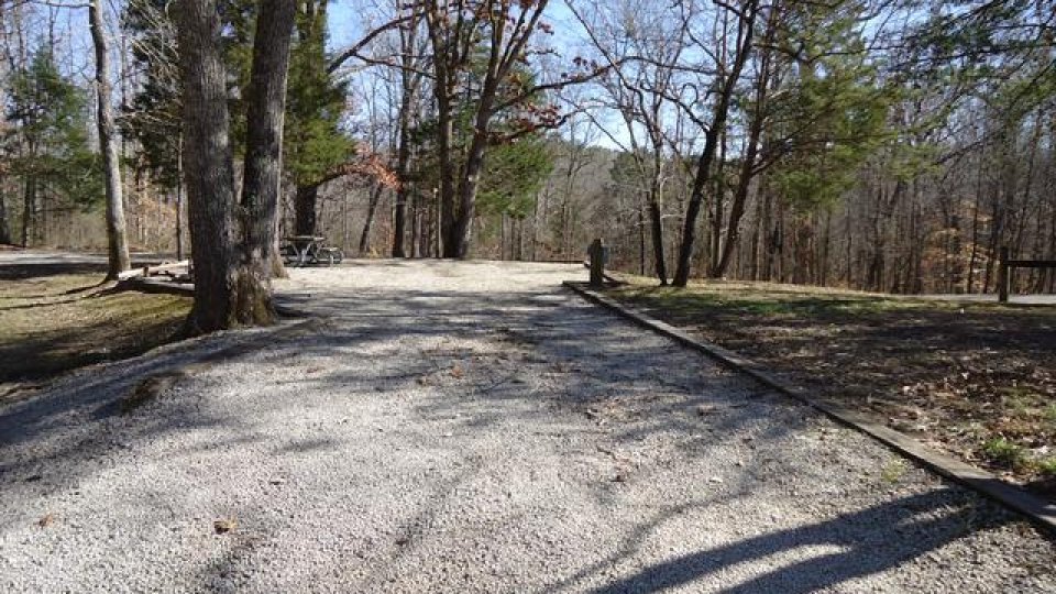 Gravel path in a forested area with trees and clear sky.