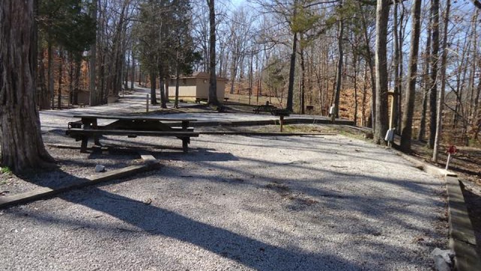 Gravel path in a wooded park with benches under bare trees.