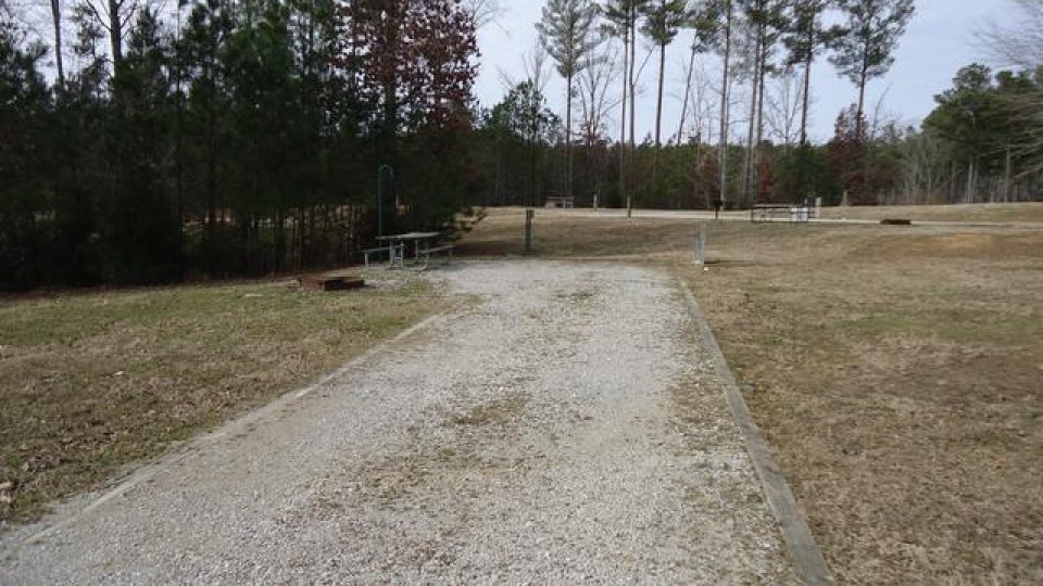 Gravel path leading through a park with trees in the background.