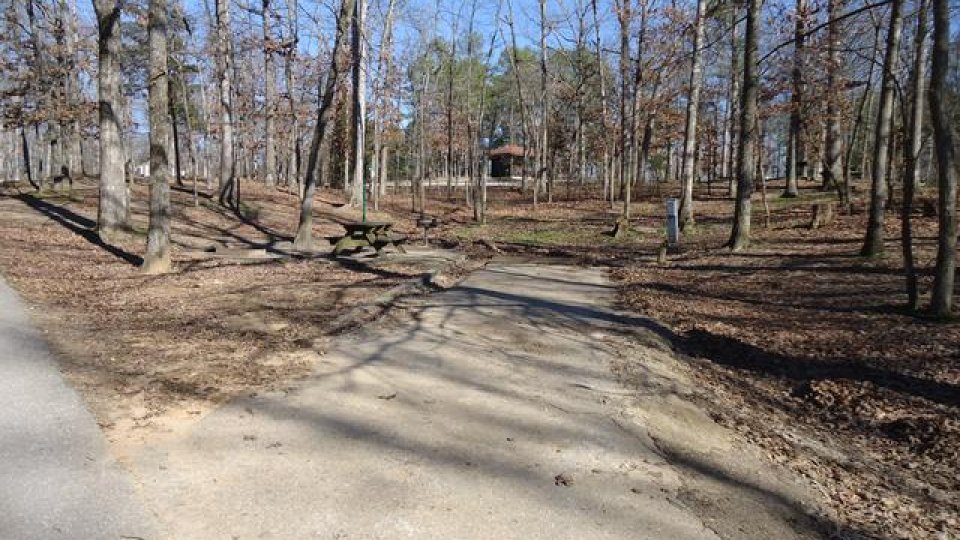 Trail through a wooded park area with bare trees and a clear sky.