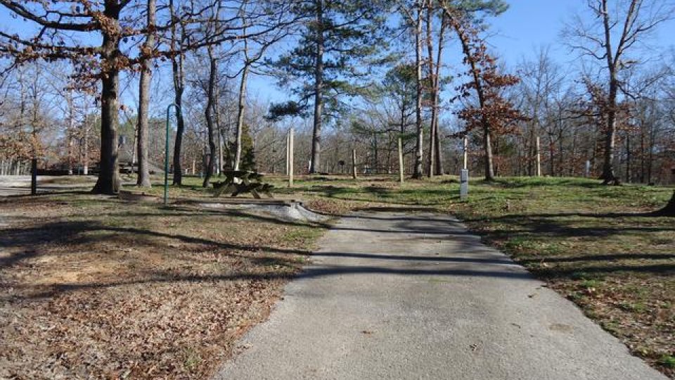 Paved path through park with bare trees and blue sky.