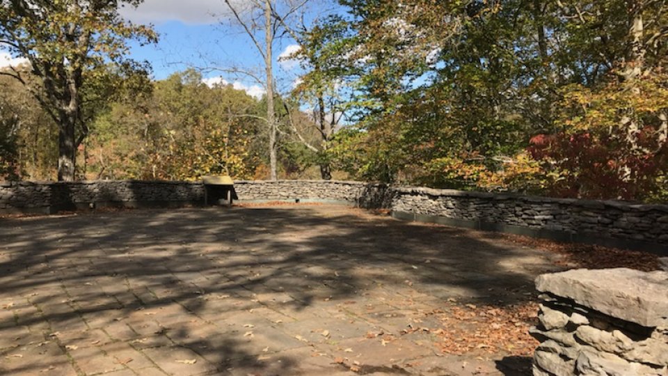 Stone patio with autumn trees and scattered leaves.