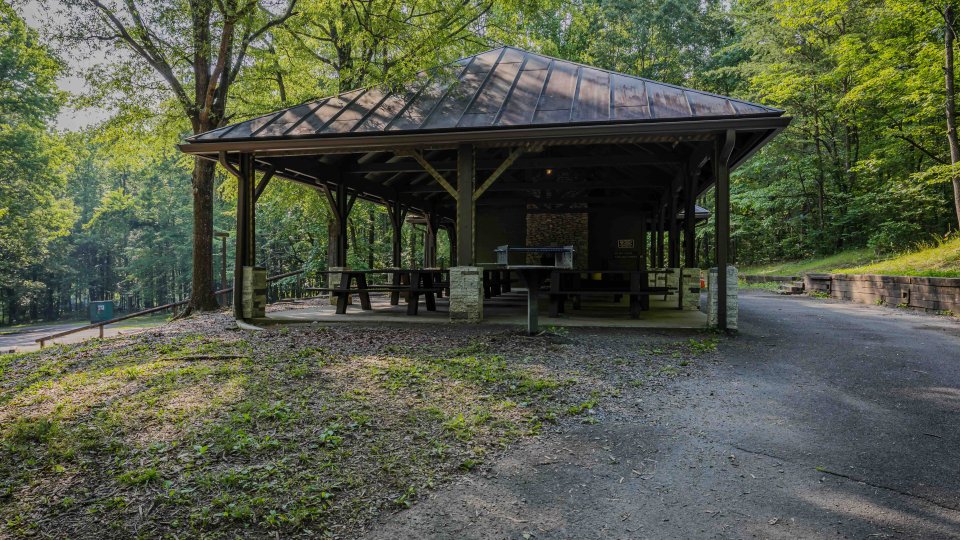 Wooden picnic shelter in a tranquil forest park setting.