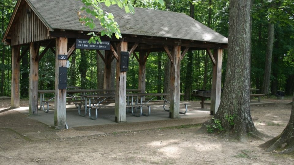 Wooden picnic shelter in a forest setting with picnic tables.