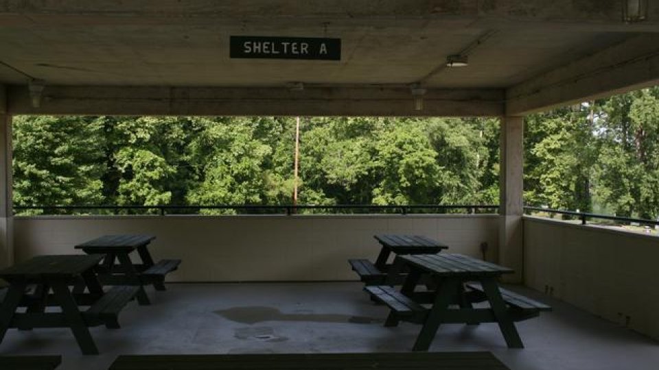 Covered shelter with picnic tables, surrounded by trees.