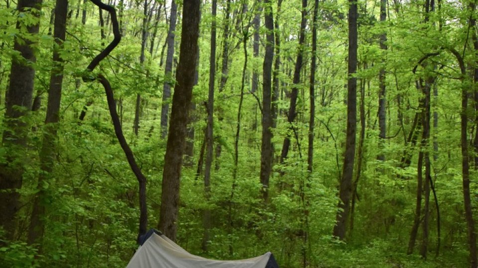 Savage Gulf camping