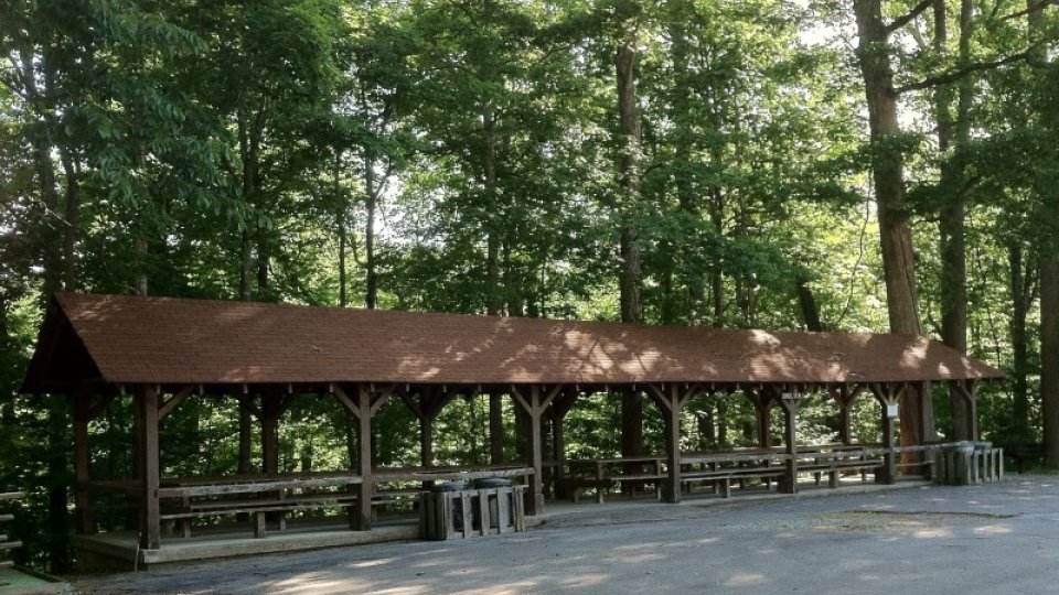 Shaded picnic shelter with wooden benches in a forest setting.