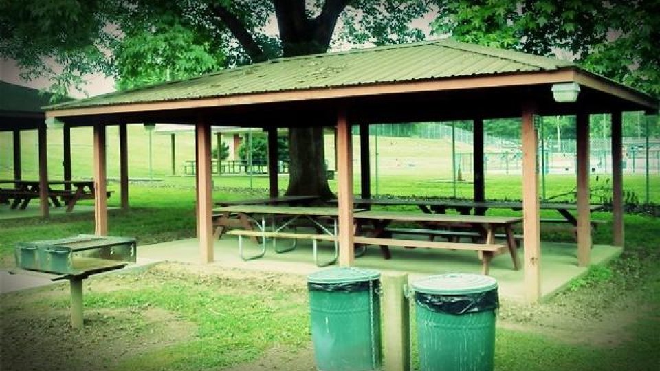 Park shelter with picnic tables, trash bins, and a grill under trees.