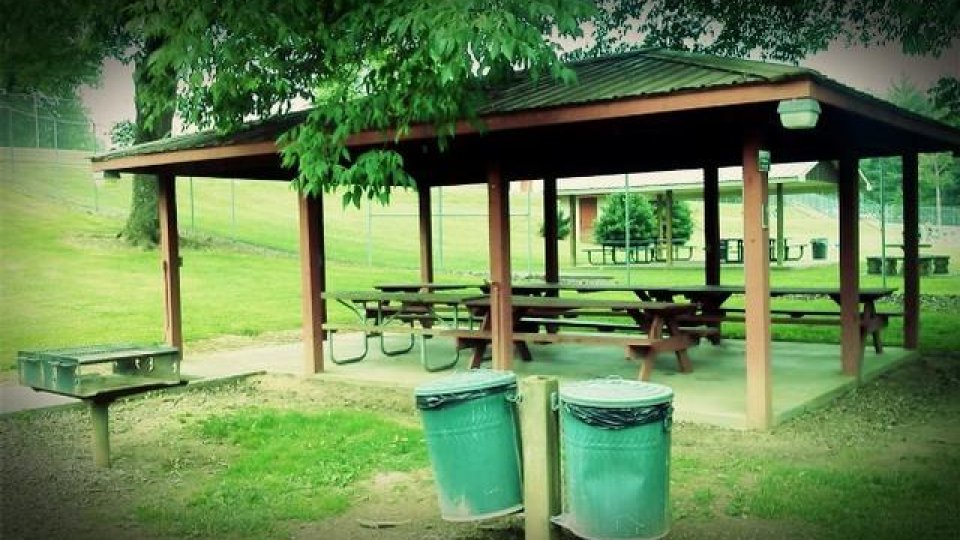 Pavilion with picnic tables in a grassy park setting.