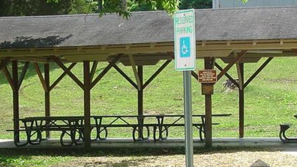 Picnic shelter with tables in a park surrounded by greenery.