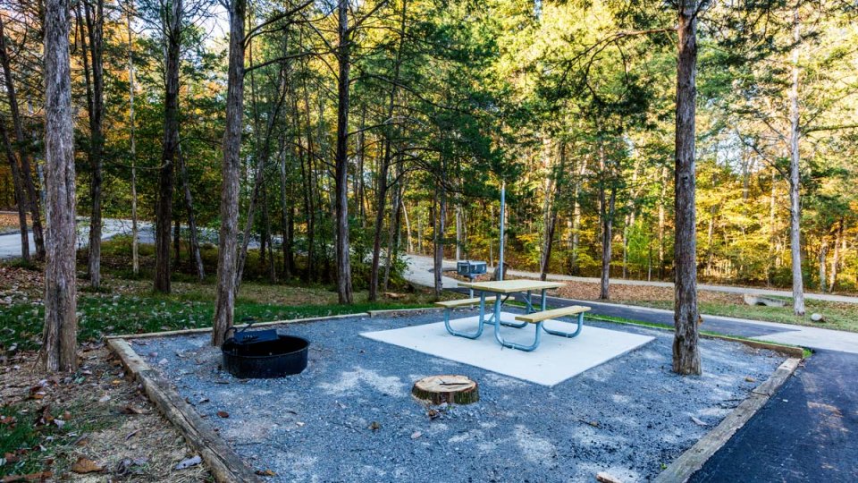 Campsite with fire pit, picnic table, and surrounding trees in daylight.