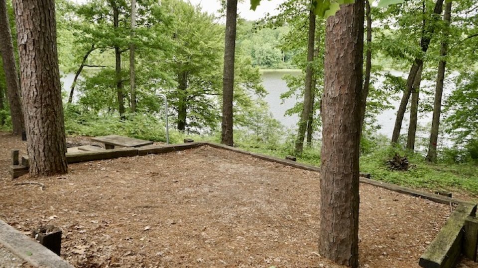 Wooded lakeside area with a dirt ground and wooden benches.