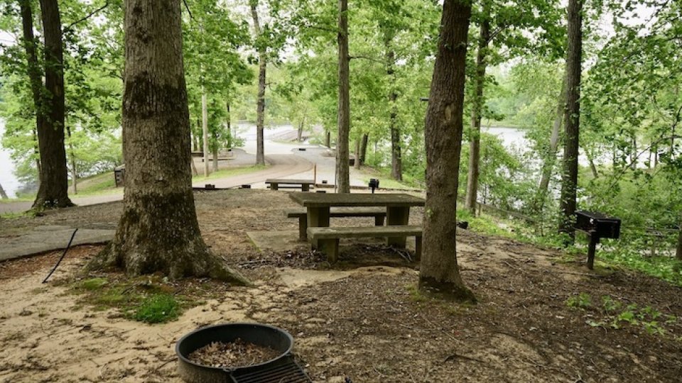 Wooded picnic area with a bench and fire pit overlooking a lake.