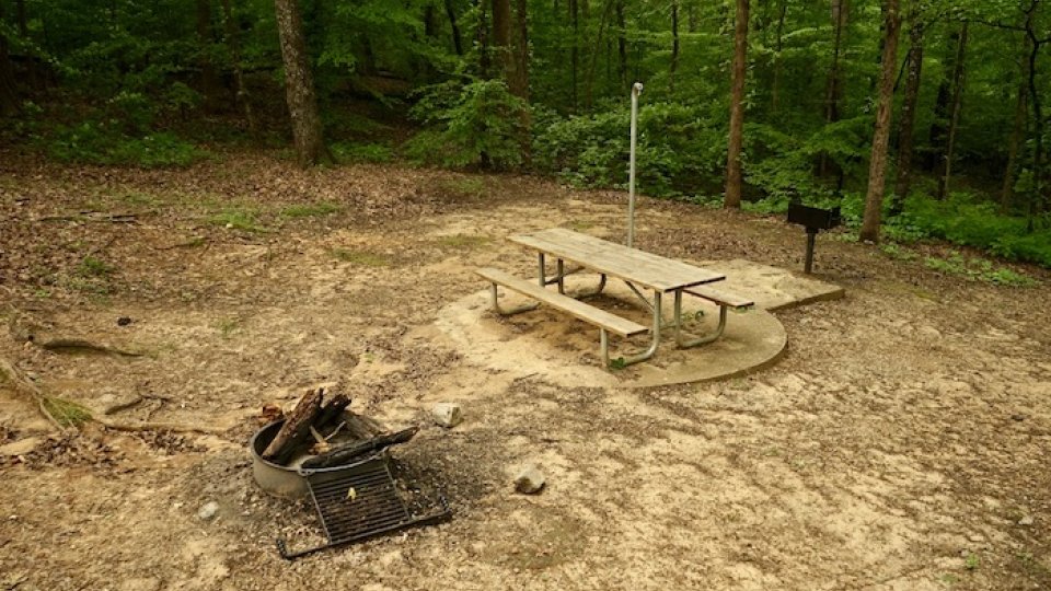 Secluded campsite with fire pit and picnic table in the forest.