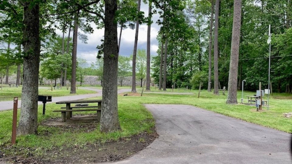 Curved pathway and picnic table in a lush green park.