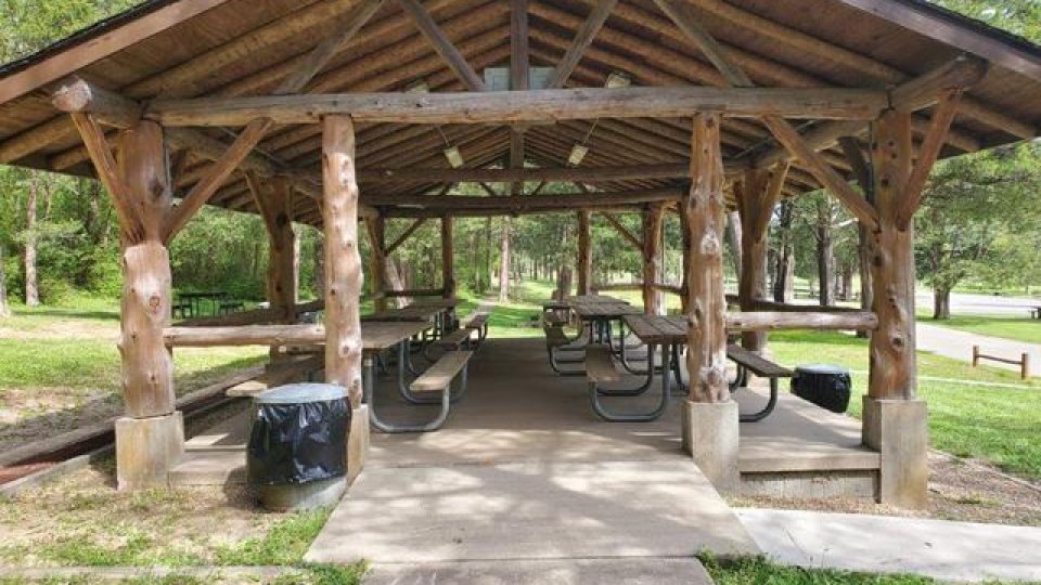 Wooden picnic pavilion in a park with tables and surrounding trees.