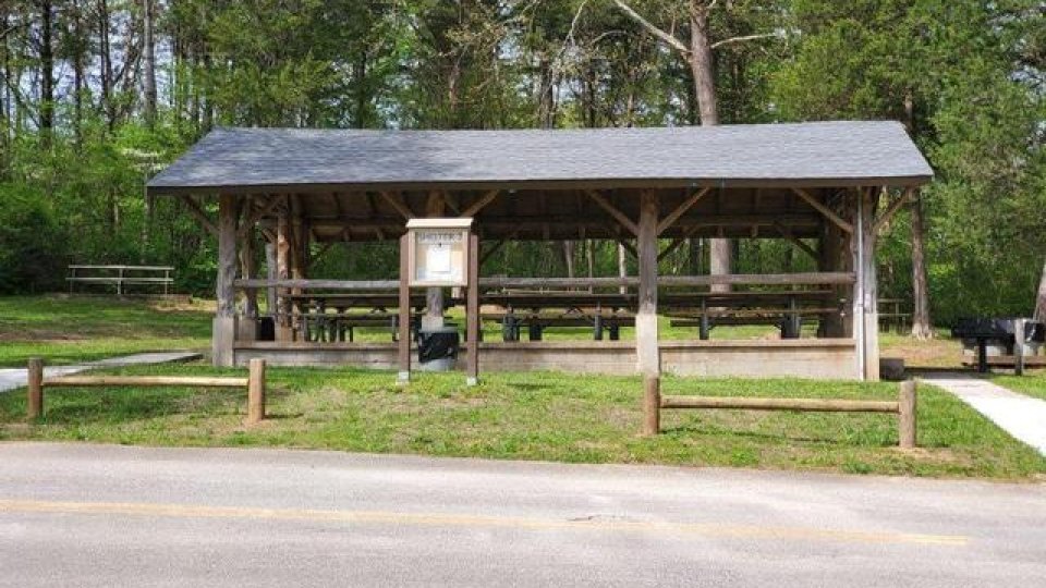 Open picnic shelter in a park with tables and surrounding trees.