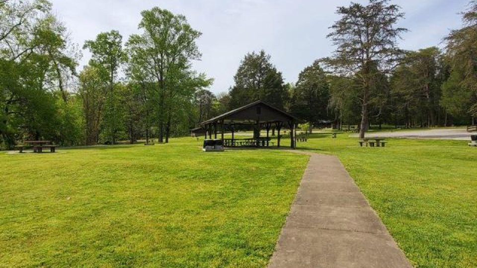 Path leading to a covered picnic area in a sunny park.