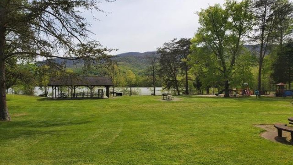 Lush green park with trees, a picnic table, and distant mountains.