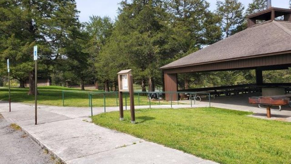 Empty park with a pathway leading to a picnic area and large trees.