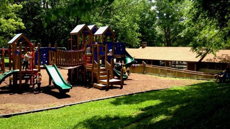 Wooden playground equipment in a sunny park with trees.