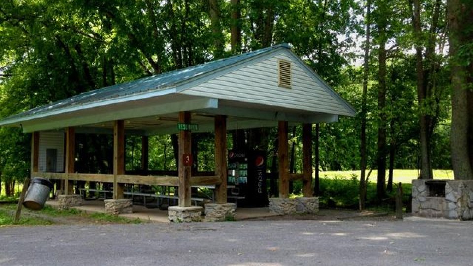 Open-sided park shelter with picnic tables, surrounded by trees.