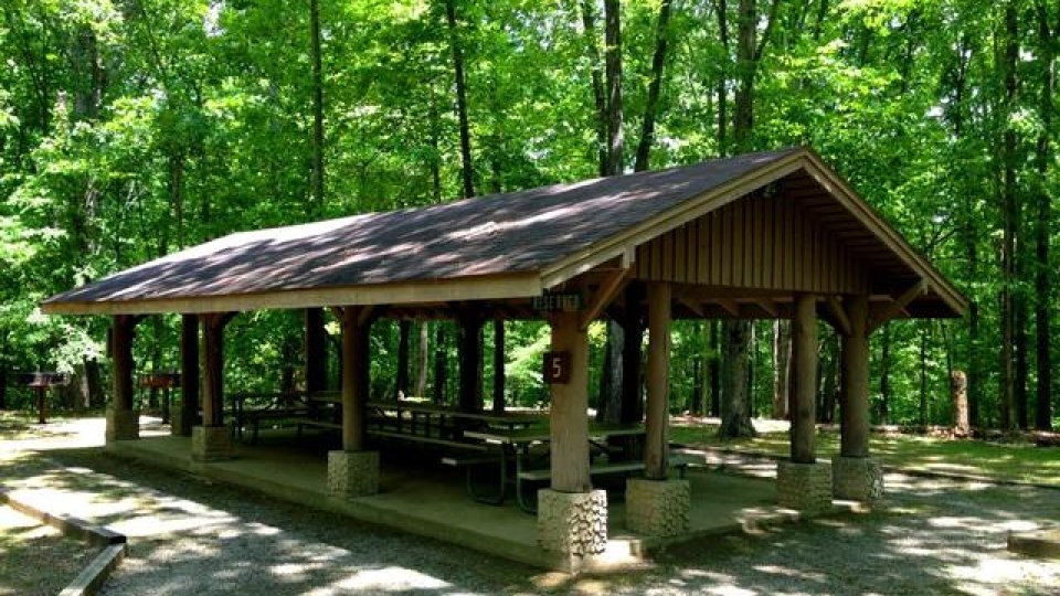 Open picnic shelter in a lush green forest.
