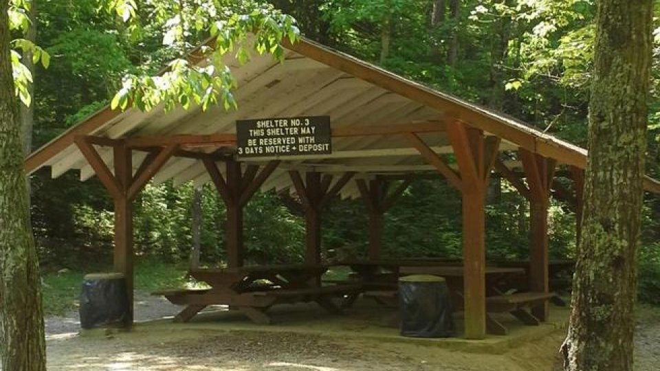 Wooden picnic shelter surrounded by trees in sunlight.