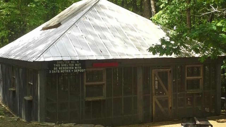 Cabin in a forest with a metal roof and shaded surroundings.
