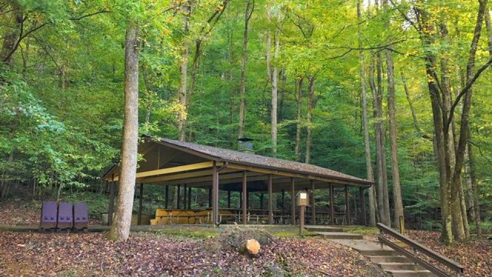 Pavilion surrounded by green trees in a forest setting.
