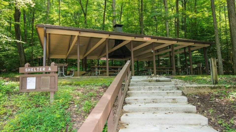 Shelter in a green forest with a staircase leading up.