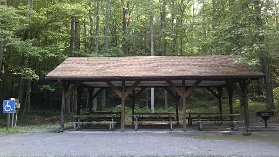 Wooden picnic shelter in a forest with a nearby handicap parking sign.
