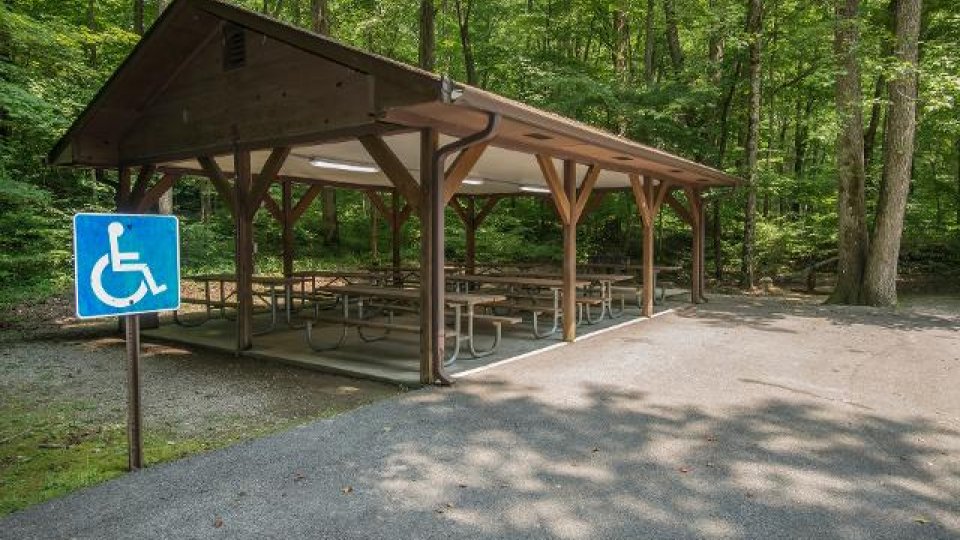 Wooden picnic shelter in a forest with accessible parking sign.