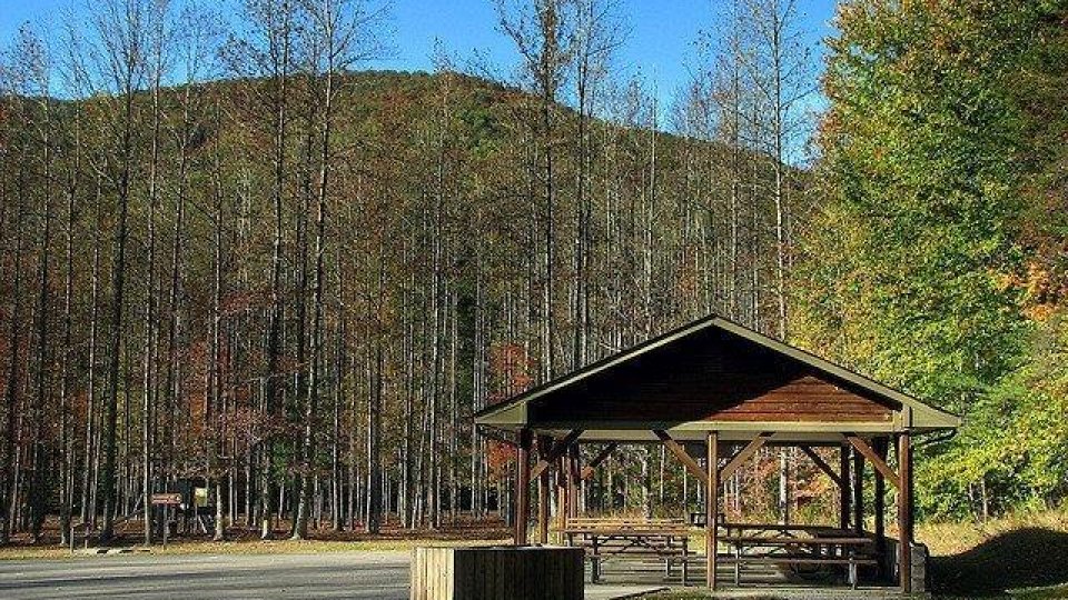 Shelter in wooded area, autumn trees, under blue sky.