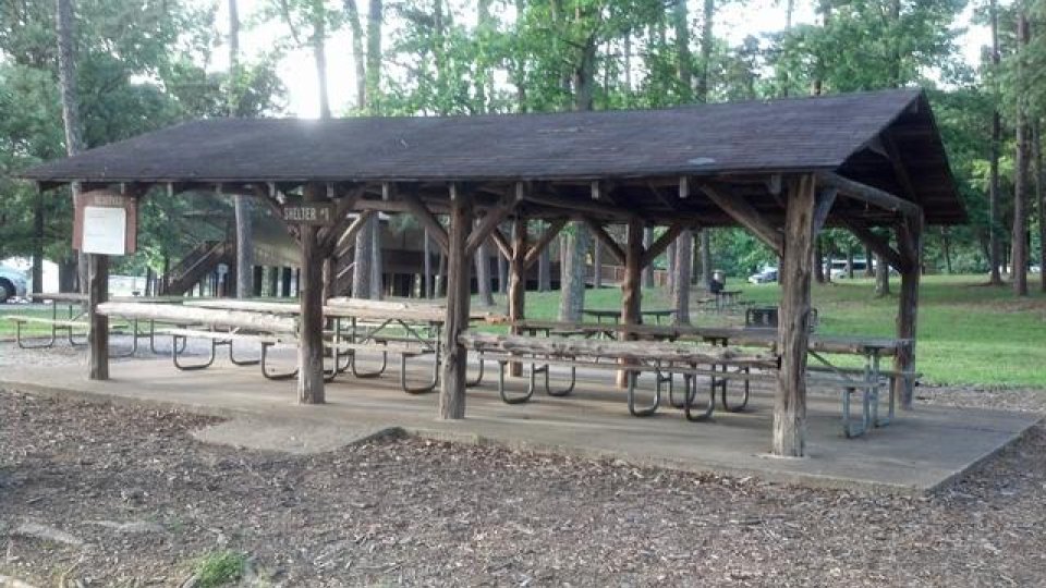 Wooden picnic shelter with tables, surrounded by trees in a park setting.