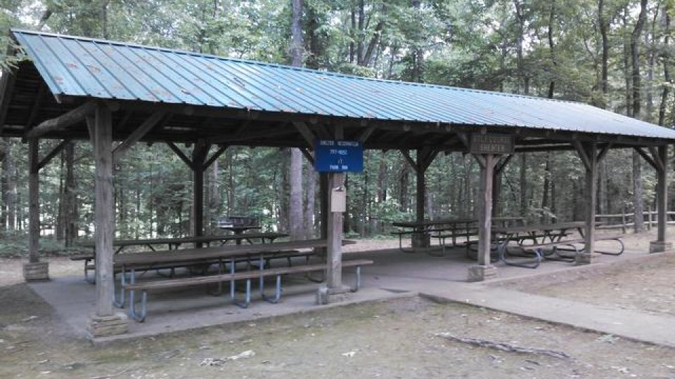 Outdoor picnic shelter with tables in a wooded area.
