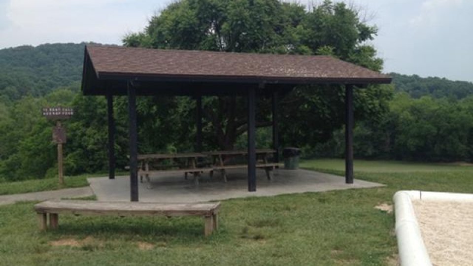 Shelter with picnic tables in grassy park setting, trees in background.