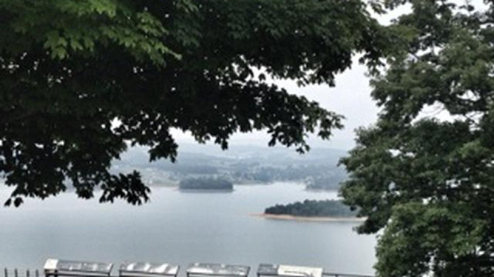 Lakeside view framed by trees with boats on water.